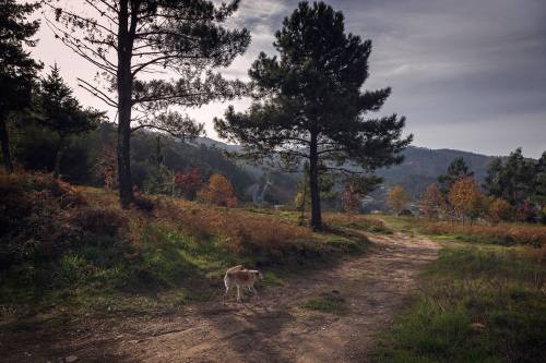 Ruta polo Monte Pornedo nas II Xornadas de Patrimonio de San Xián (foto, Fran Currás)