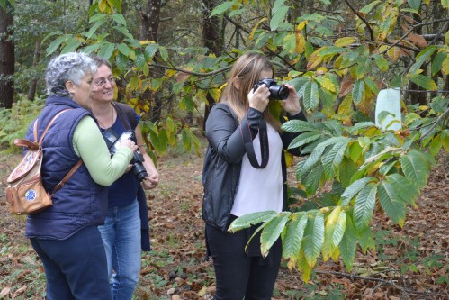 II Xornadas de Patrimonio de San Xián: ruta polo Monte Pornedo