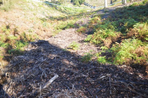 A Curxeira, 1 de xaneiro de 2019
