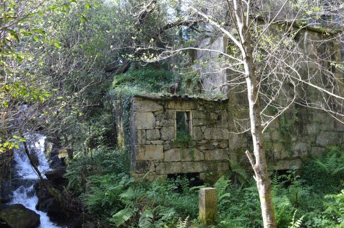 Ruta por Salcedo coa Plataforma Montes do Morrazo