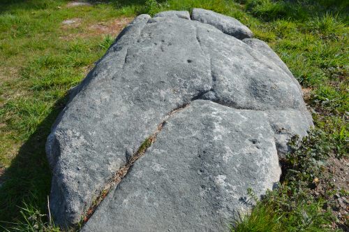 Ruta por Salcedo coa Plataforma Montes do Morrazo