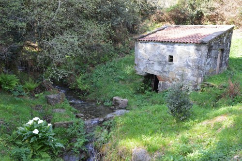 Ruta por Salcedo coa Plataforma Montes do Morrazo