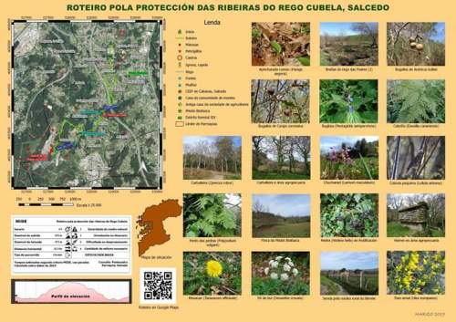 Ruta por Salcedo coa Plataforma Montes do Morrazo