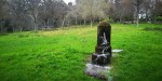 Falta de mantemento das tres fontes da arboreda, que botan auga a caño&nbsp;libre