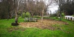 Terra de dubidosa procedencia, extendida e aplastada nun recanto da arboreda do&nbsp;Pituco