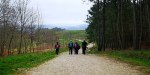 Ruta polo Espazo Sete Camiños con sendeiristas de Negreira, Compostela e&nbsp;Cerceda