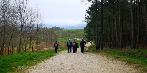 Ruta polo Espazo Sete Camiños con sendeiristas de Negreira, Compostela e Cerceda