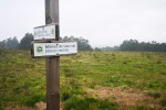 Ruta polo Espazo Sete Camiños con sendeiristas de Negreira, Compostela e&nbsp;Cerceda