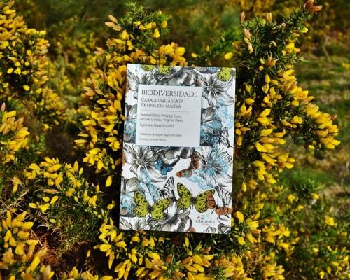 "Biodiversidade: cara a unha sexta extinción masiva"