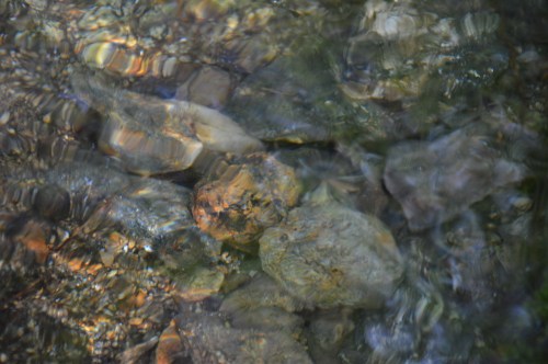 Día da Biodiversidade no Monte Pituco