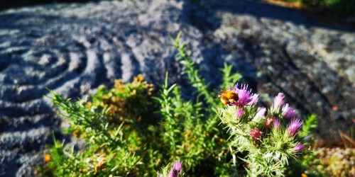 Día da Biodiversidade no Monte Pituco