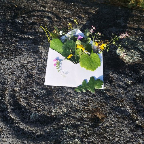 Eleccións municipais 2019