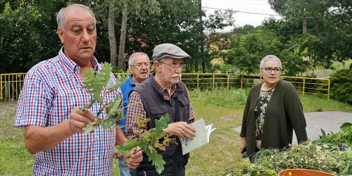 O cacho de San Xoán, con Vaipolorío
