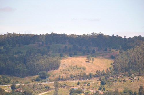 Vista da corta, na zona de Fontenla e do rego das Presas