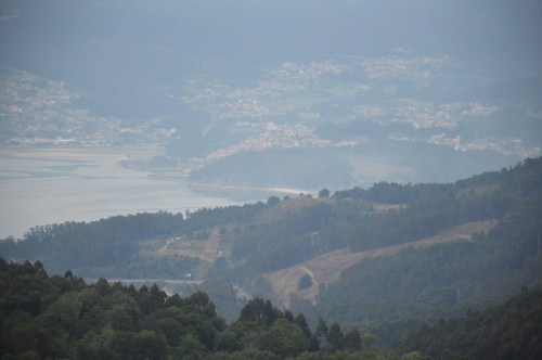 Tala no Pornedo desde Cotorredondo