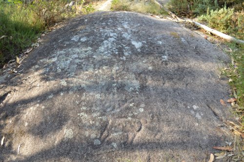 Petróglifos San Isidro - O Soutiño (Campo Lameiro)
