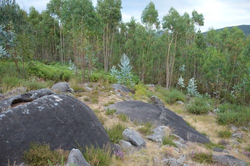Laxe das Ferraduras, Fentáns
