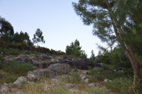 Portela das Rozas Vellas