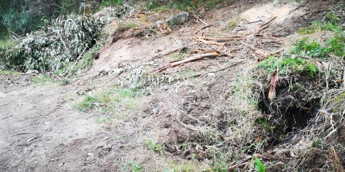 Tala a carón do rego das Presas