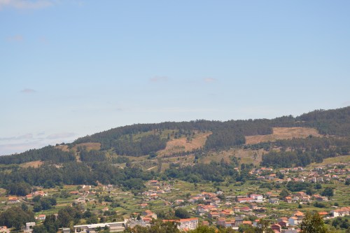Vista xeral da corta