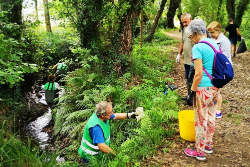 19ª Campaña de limpeza do Gafos, con Vaipolorío