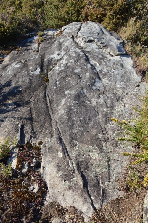 Petróglifos de Sete Camiños