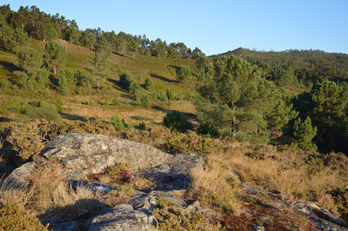 Ao fondo, o Alto da Encavada