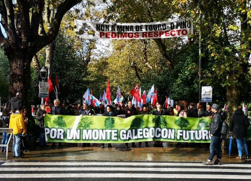 Manifestación en Compostela "Por un monte galego con futuro"