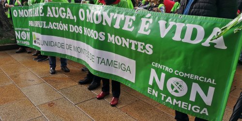 Manifestación en Compostela "Por un monte galego con futuro"
