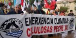 Manifestación en Compostela “Por un monte galego con&nbsp;futuro”