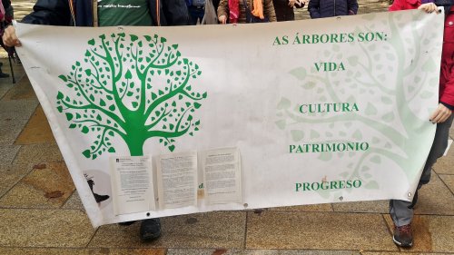 Manifestación en Compostela "Por un monte galego con futuro"