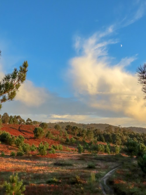 Andaina polo Monte Pituco ao solpor. Foto de Antonio Costa