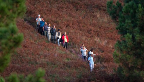Andaina polo Monte Pituco ao Solpor. Foto de Antonio Costa