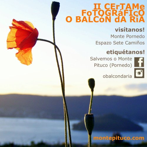 II Certame O Balcón da Ría 2019