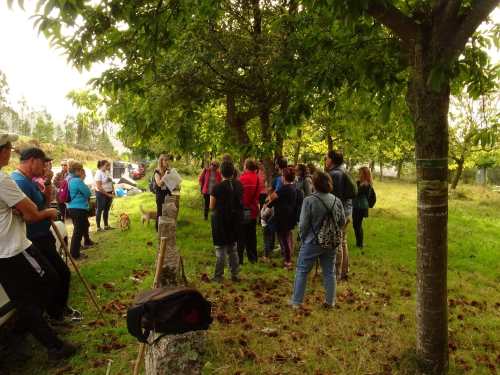 Andaina polo Monte Pituco ao solpor. Foto de José Manuel Domínguez.