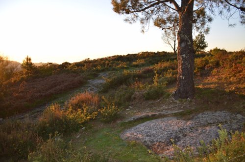 Petróglifos do Pornedo