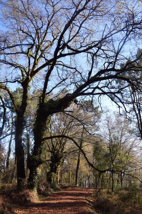 82865942_2917062474992471_575464427264933888_o