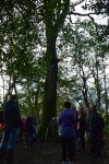 Día dos Humidais con Vaipolorío no río Tomeza&nbsp;(Gafos)