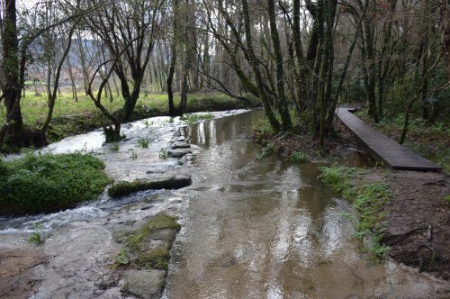 Día dos Humidais no río Tomeza con Vaipolorío