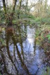 Día dos Humidais con Vaipolorío no río Tomeza&nbsp;(Gafos)