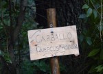 Día dos Humidais no río Tomeza con&nbsp;Vaipolorío
