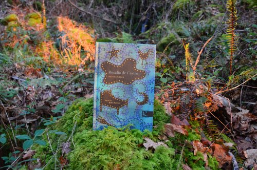 "Rosalía de Castro, escolma poética" (Faktoría K)