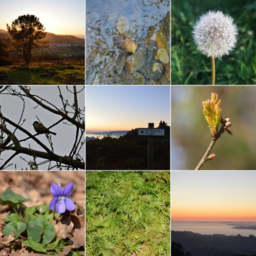 3 de marzo, Día Mundial da Vida Silvestre