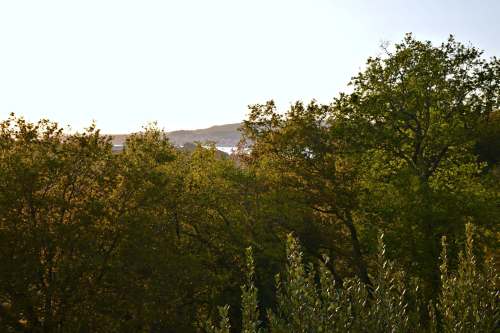 Dende a miña fiestra