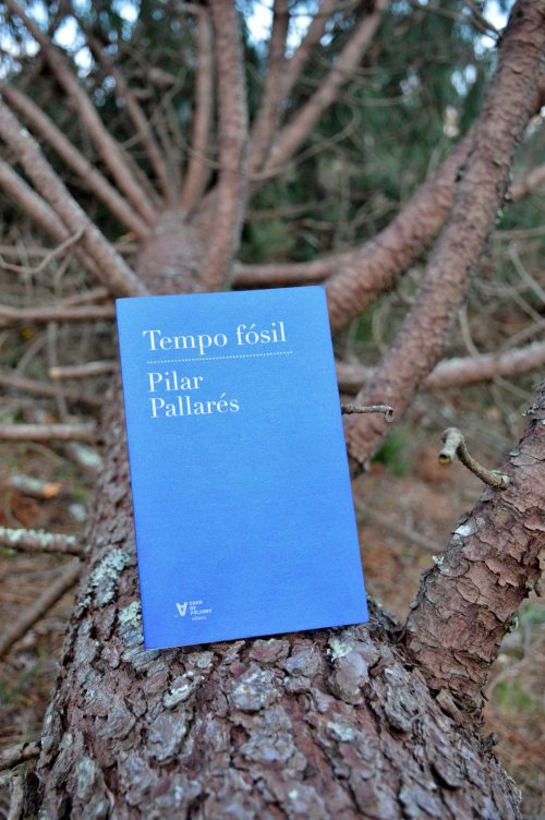 "Tempo fósil", de Pilar Pallarés (Chan da Pólvora, 2019)