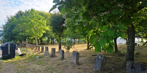 A arboreda do Pornedo, desbrozada