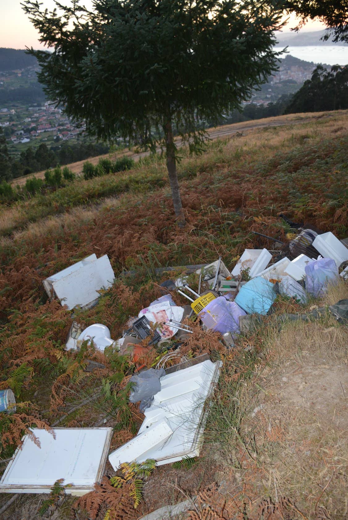 Verteduras na pista forestal do Pornedo