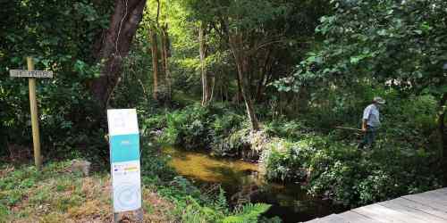 XX Campaña de Limpeza do Río Gafos, organizada por Vaipolorío