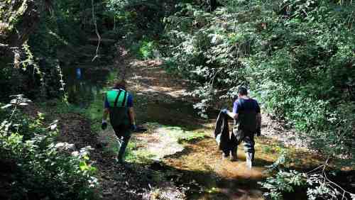 XX Campaña de Limpeza do Río Gafos, organizada por Vaipolorío