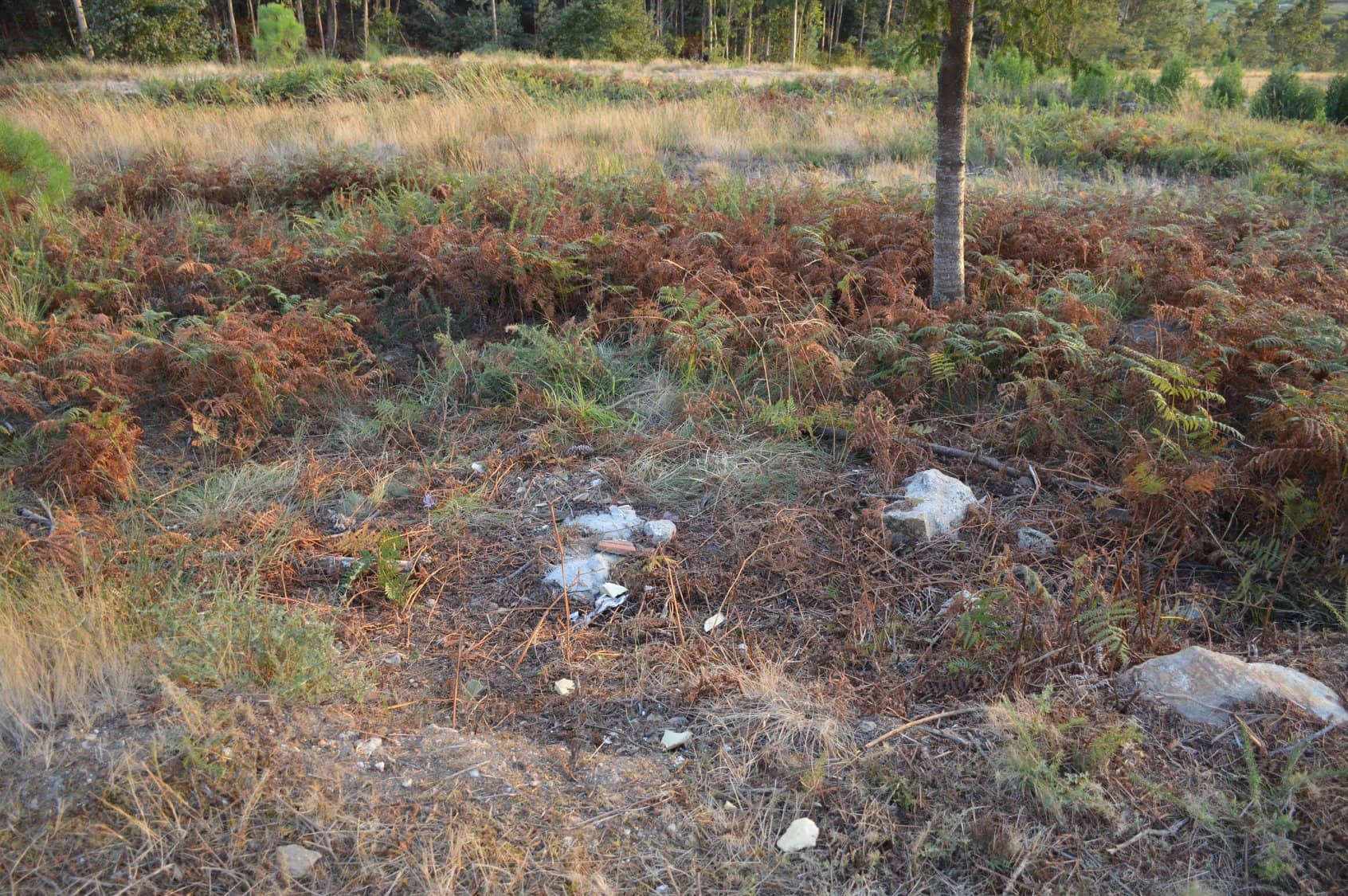 Eliminado un dos vertidos na pista do Pornedo
